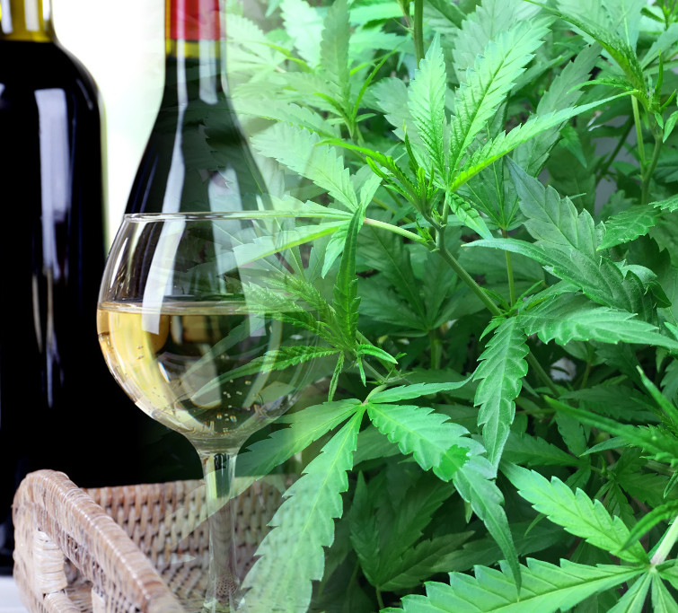 How to Perfectly Pair Marijuana and Wine Relief Treats