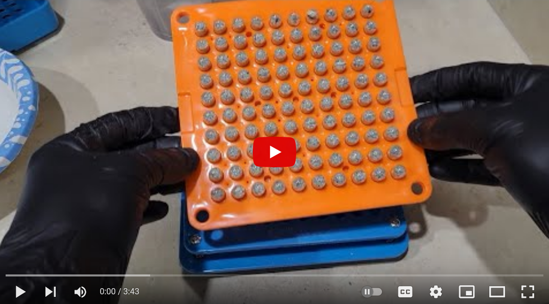 Microdem Capsule Making Microdose Capsules - Relief Treats